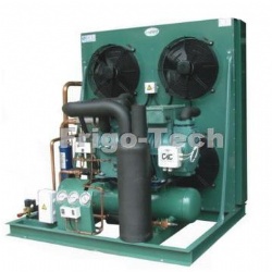 Bitzer two stage condensing unit